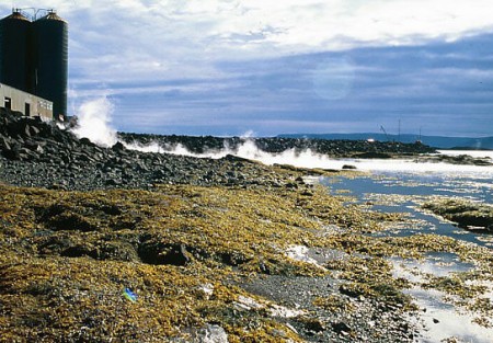 Kjaradeilur starfsmanna Þörungaverksmiðjunnar hjá sáttasemjara