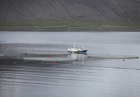 Ekki farið að lögum eða reglum við hópuppsögn hjá Fjarðalaxi